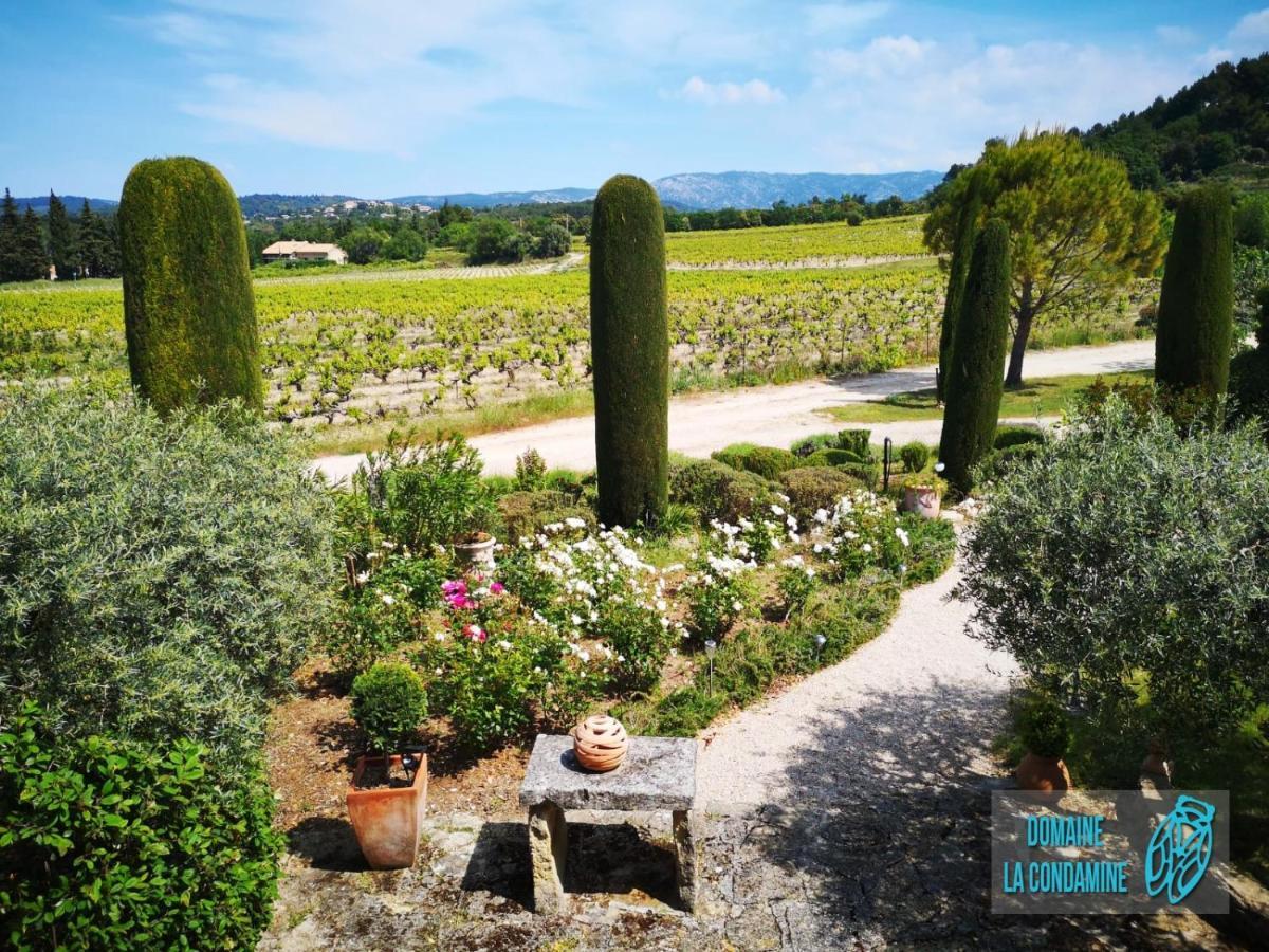 Отель Domaine La Condamine Crillon Le Brave Экстерьер фото